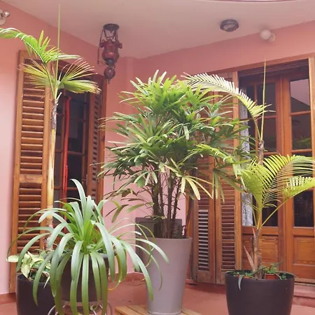 Departamentos Enteros En Palermo Hollywood Apartment Buenos Aires Exterior photo